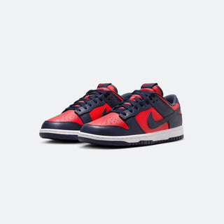 Nike Dunk Low CO.JP 'City Attack'